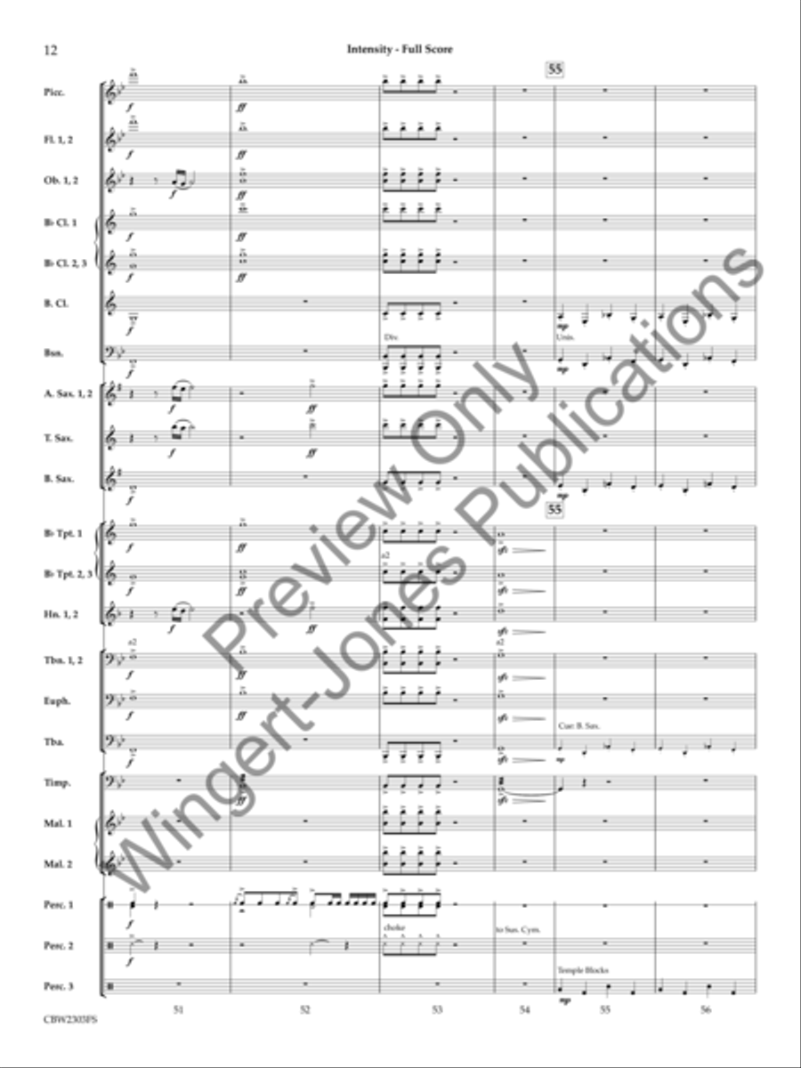 Intensity Concert Band scores gallery preview page 13
