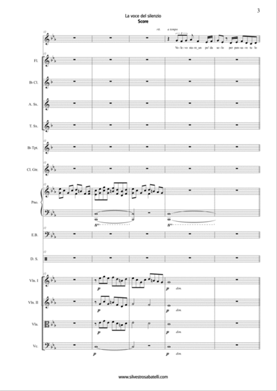 La Voce Del Silenzio Chamber Orchestra scores gallery preview page 4