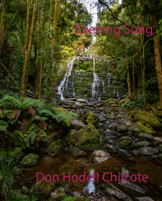 Book cover for Evening Song
