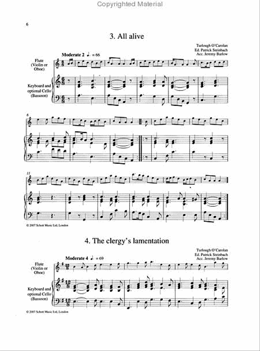 Carolan's Concerto Carolan's Concerto Flute Solo scores gallery preview page 3