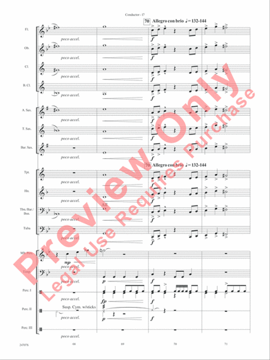 Hooroosh! Concert Band scores gallery preview page 19
