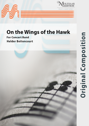 Book cover for On the Wings of the Hawk