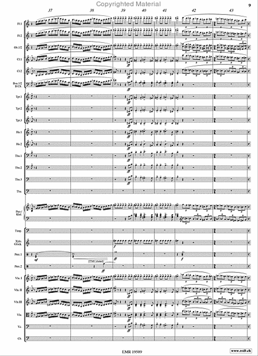 Taras Bulba Orchestra scores gallery preview page 9