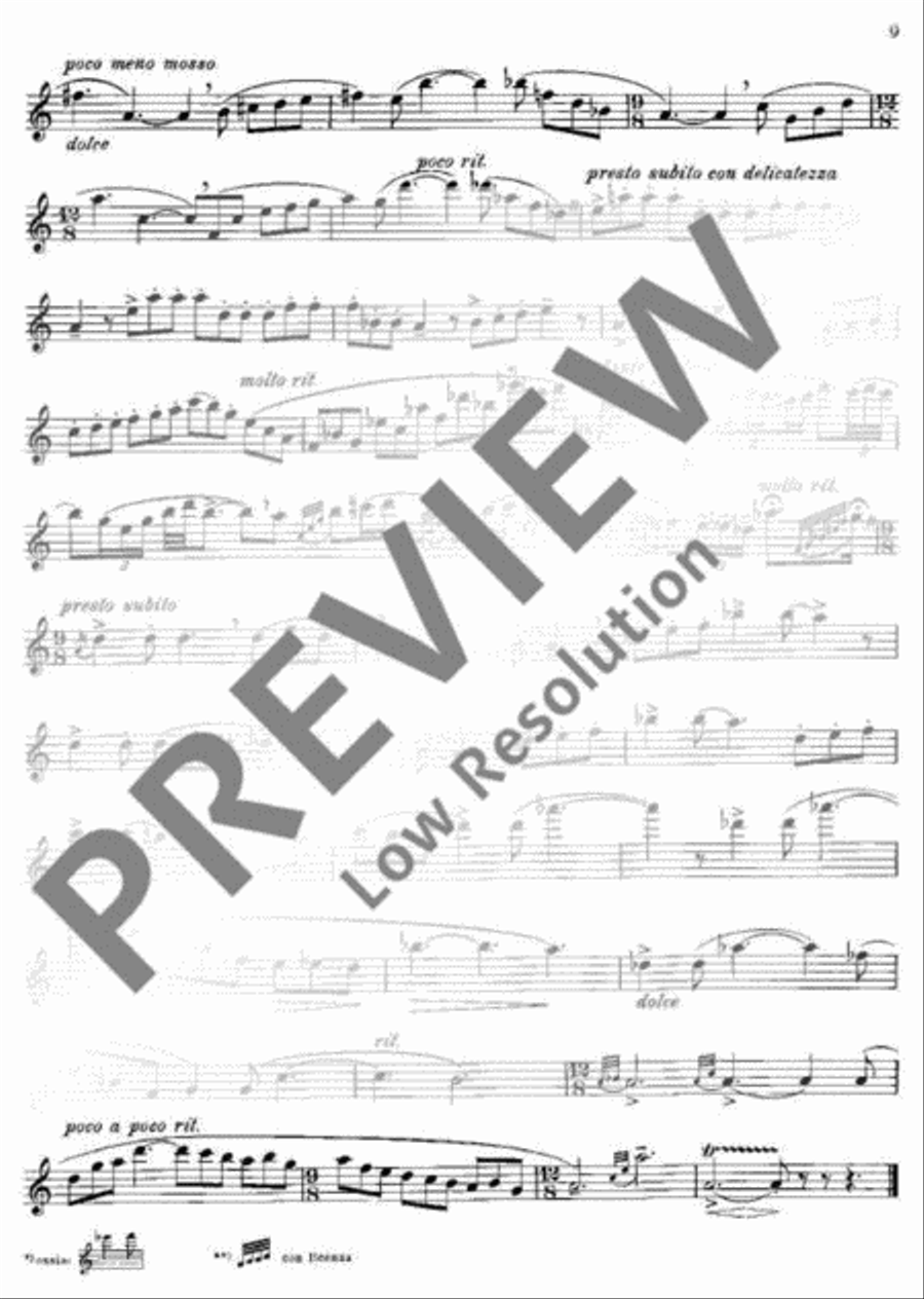 Virtuosic Suite Flute scores gallery preview page 10