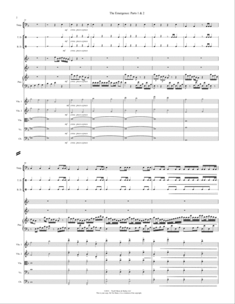 The Emergence, Parts 1 & 2 Chamber Orchestra scores gallery preview page 2