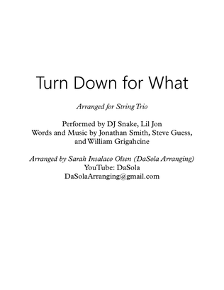 Book cover for Turn Down For What (instrumental)