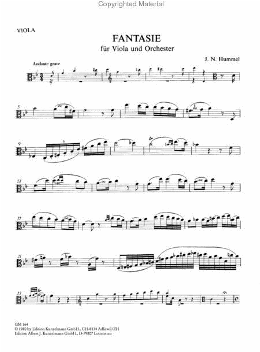 Fantasy for Viola and Orchestra - Arranged for Viola and Piano Piano Accompaniment scores gallery preview page 3