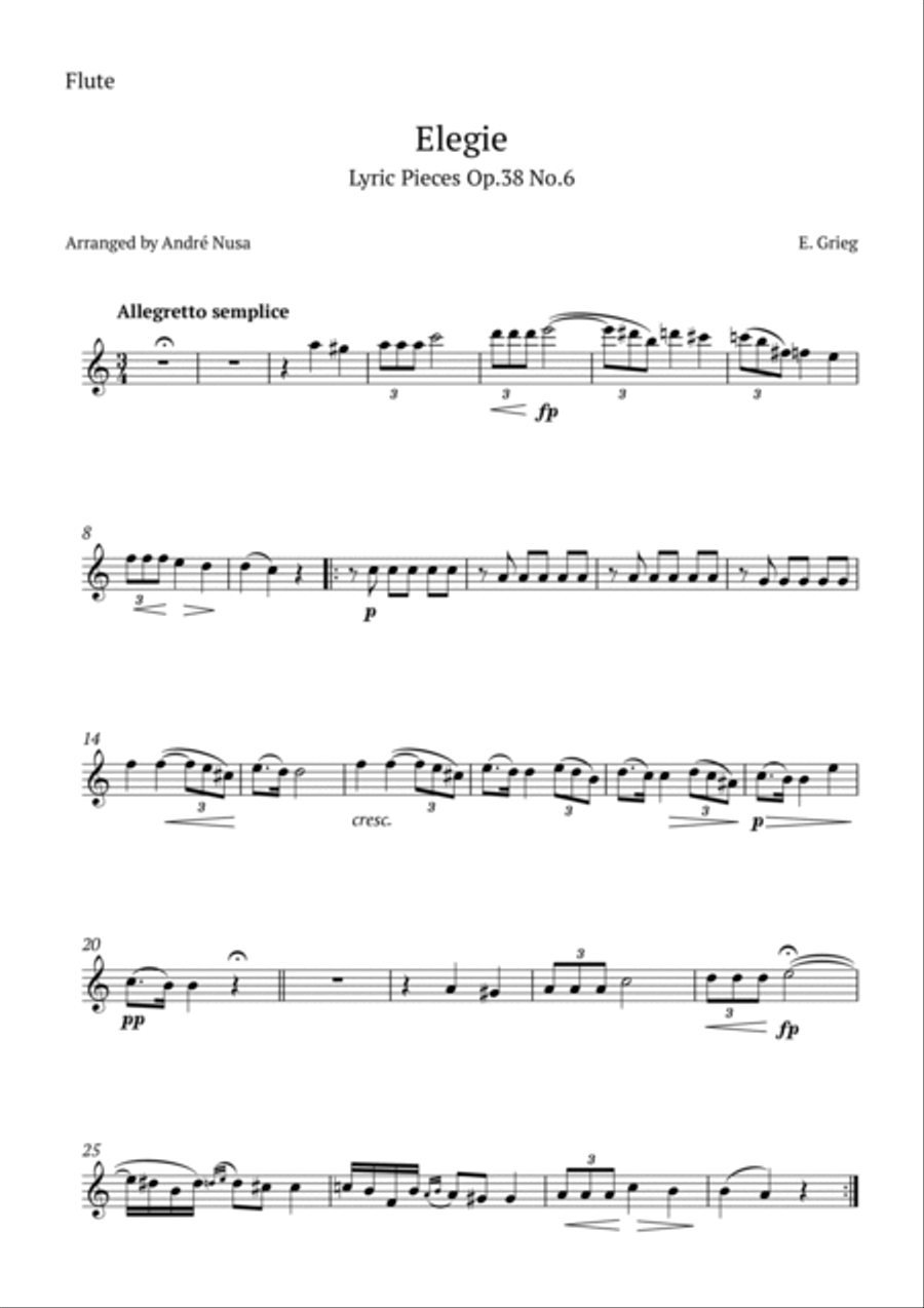 Lyric Pieces Op.38 No.6 Woodwind Quartet scores gallery preview page 4