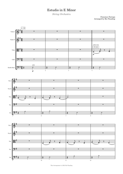 Estudio in E Minor (String Orchestra) image number null