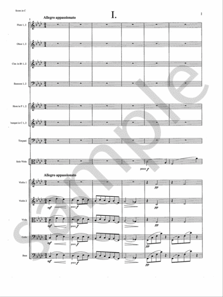 Concerto Orchestra scores gallery preview page 3