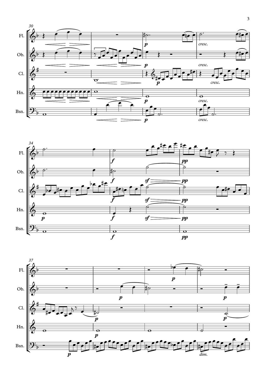 Beethoven: Piano Sonata No.14 in C# min (Sonata quasi una Fantasia) Op.27 No.2 Mvt.1. - wind quintet Woodwind Quintet scores gallery preview page 3