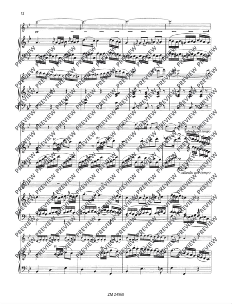 Sonata F major KV 376 (374d) Flute Solo scores gallery preview page 13