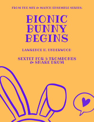 Book cover for Bionic Bunny Begins