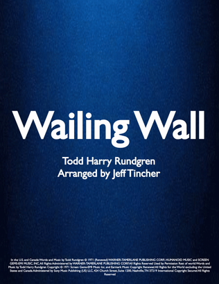 Book cover for Wailing Wall