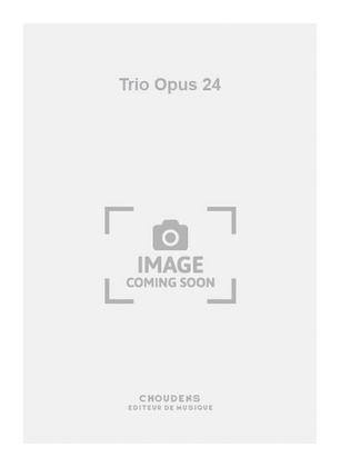 Book cover for Trio Opus 24
