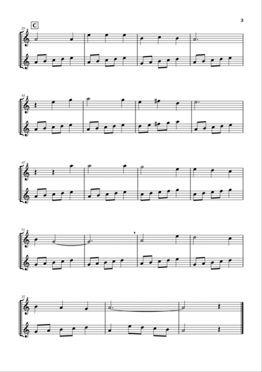 Scarborough Fair - 3 easy variations Woodwind Duet scores gallery preview page 3