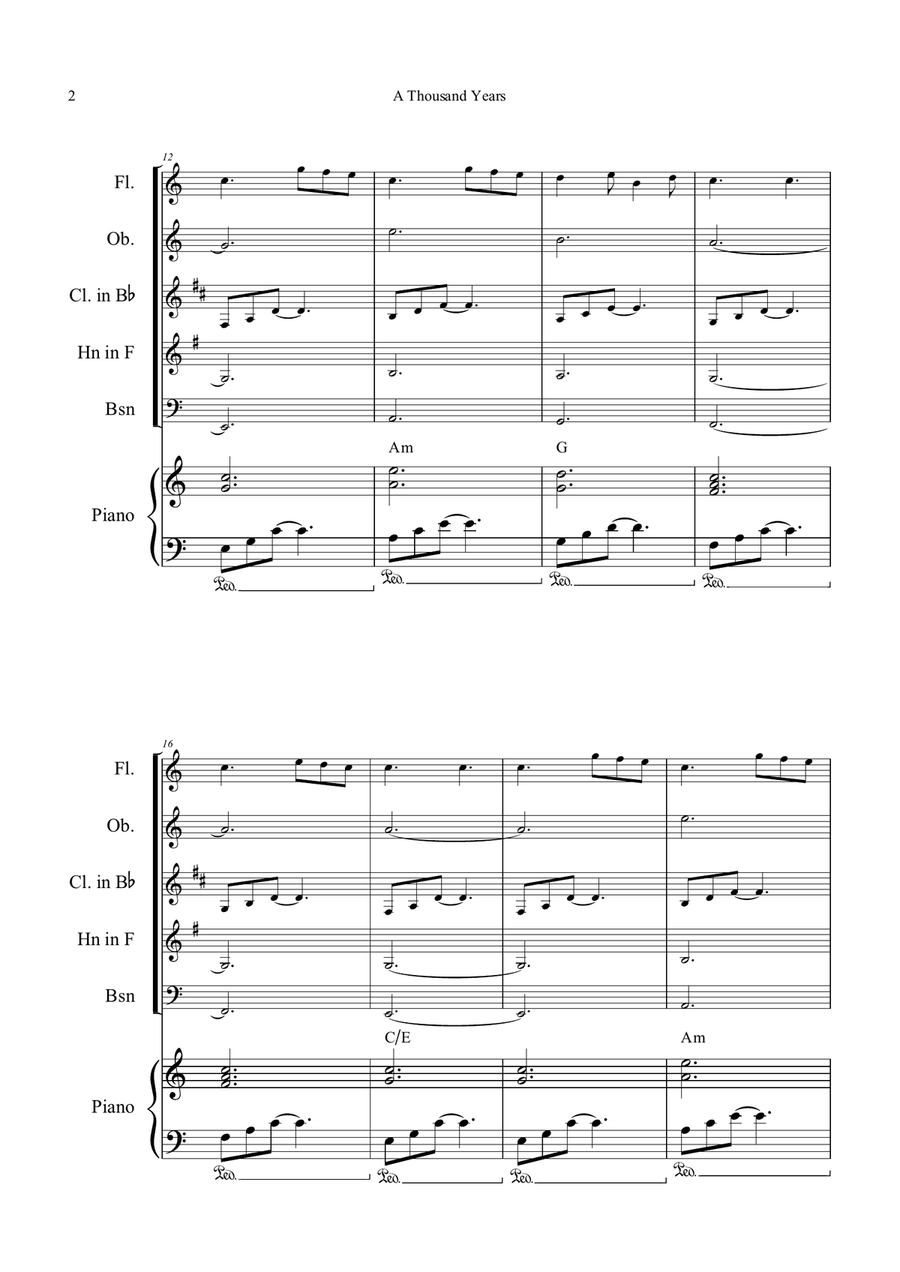 A Thousand Years Woodwind Quintet scores gallery preview page 2