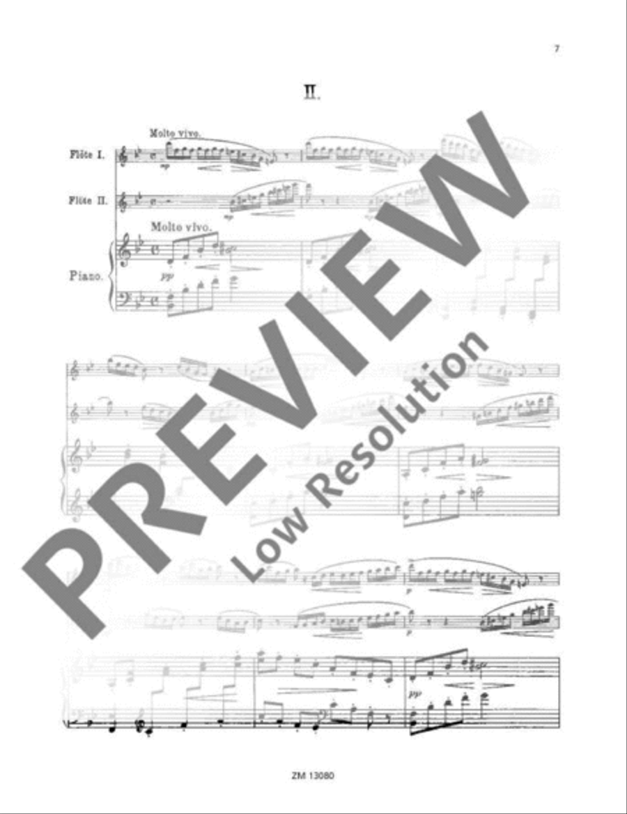 Deux Papillons Flute Duet scores gallery preview page 8