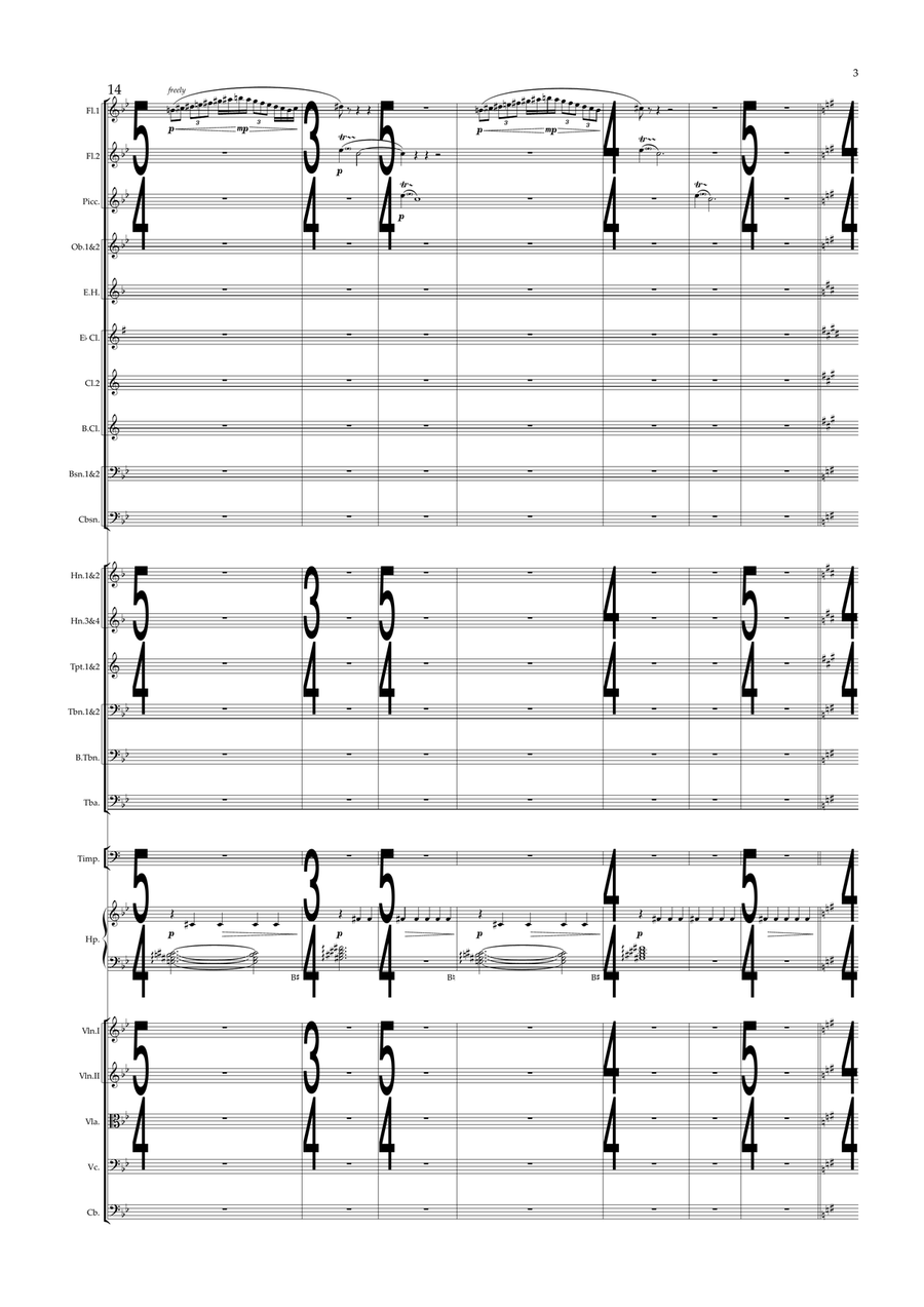 Planetarium - Score Only Full Orchestra scores gallery preview page 3
