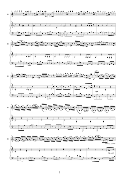 Concerto in A minor "L'Estro Armonico" (Rv 365) A.Vivaldi - Flute and piano image number null