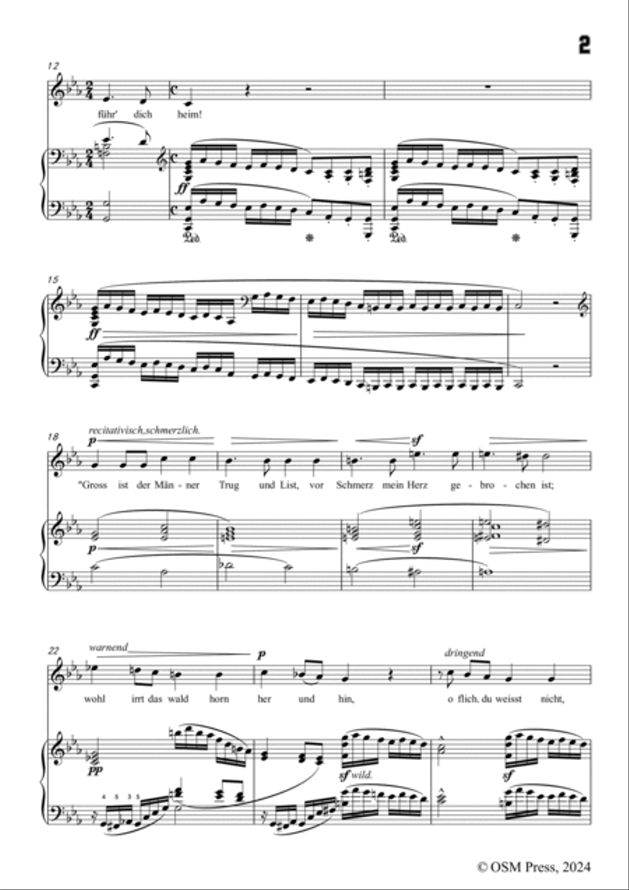 A. Jensen-Waldesgespräch,in c minor,Op.5 No.4 Voice scores gallery preview page 3