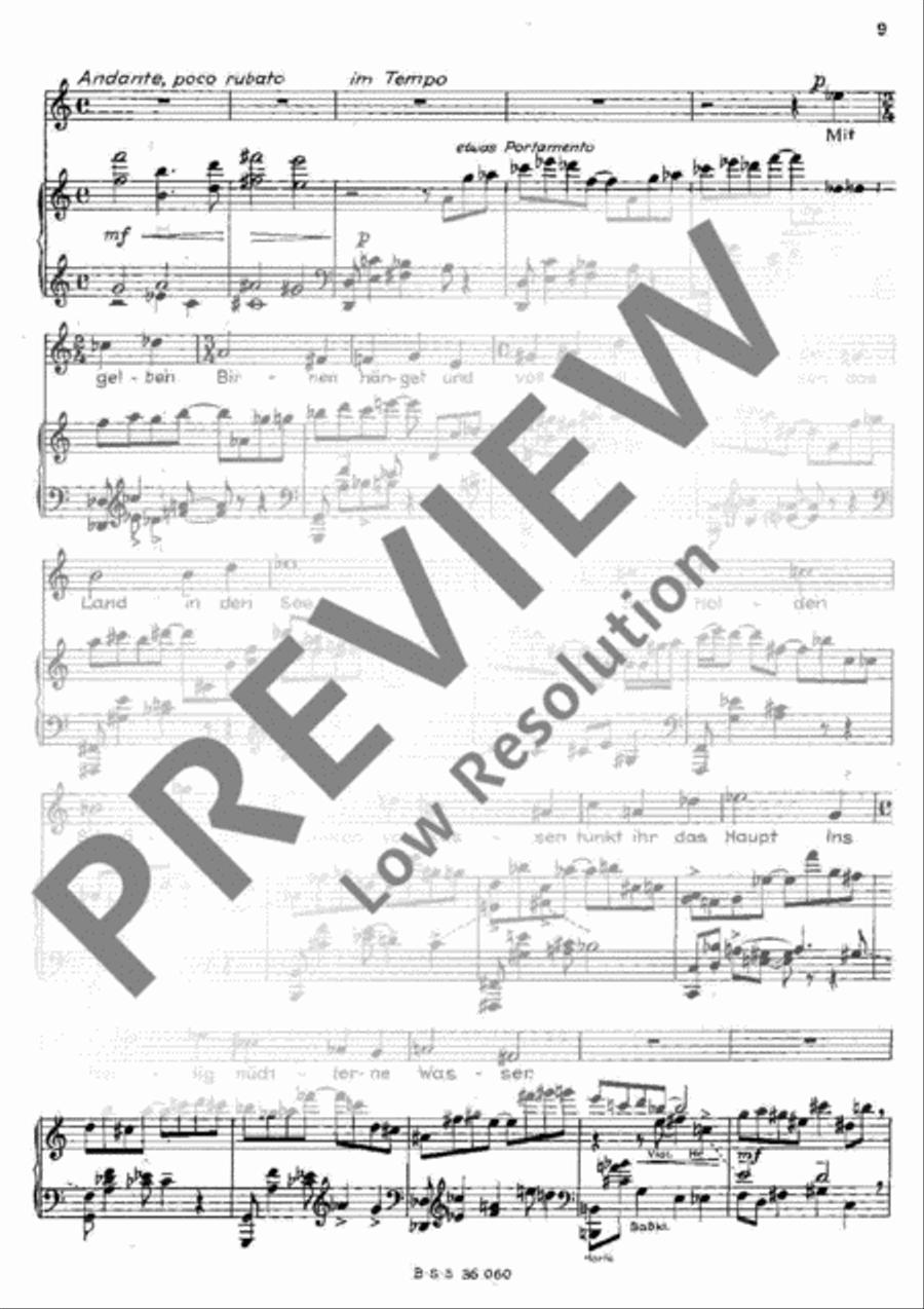 Mitte des Lebens Bass Clarinet scores gallery preview page 10