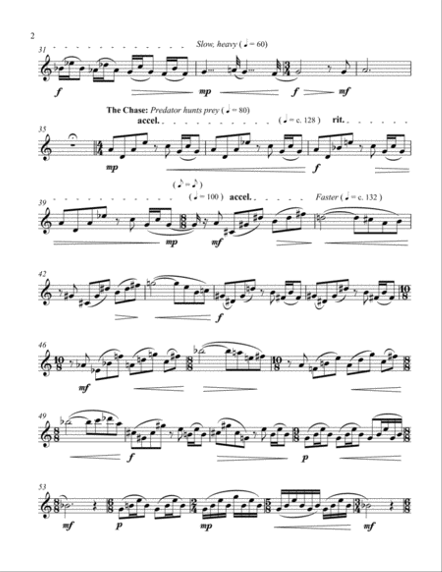 Nocturne of the Desert (for Solo Alto/Bass Flute) Flute Solo scores gallery preview page 2