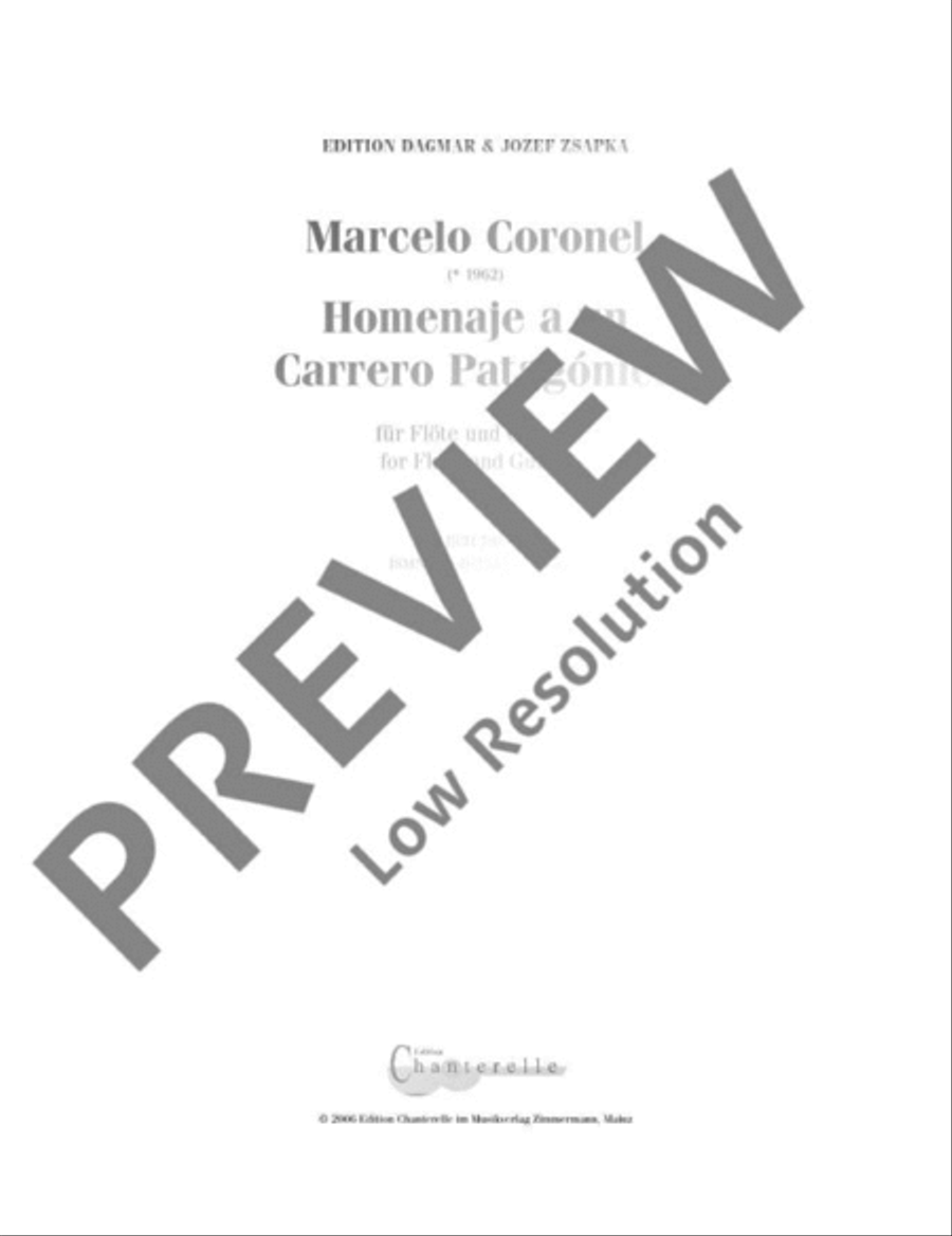Homenaje a un Carrero Patagónico Flute scores gallery preview page 2