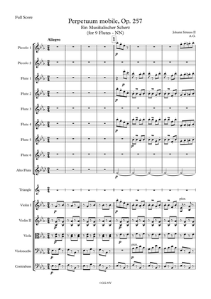 Perpetuum mobile, Op.257 (for 9 Flute Solo & Strings)
