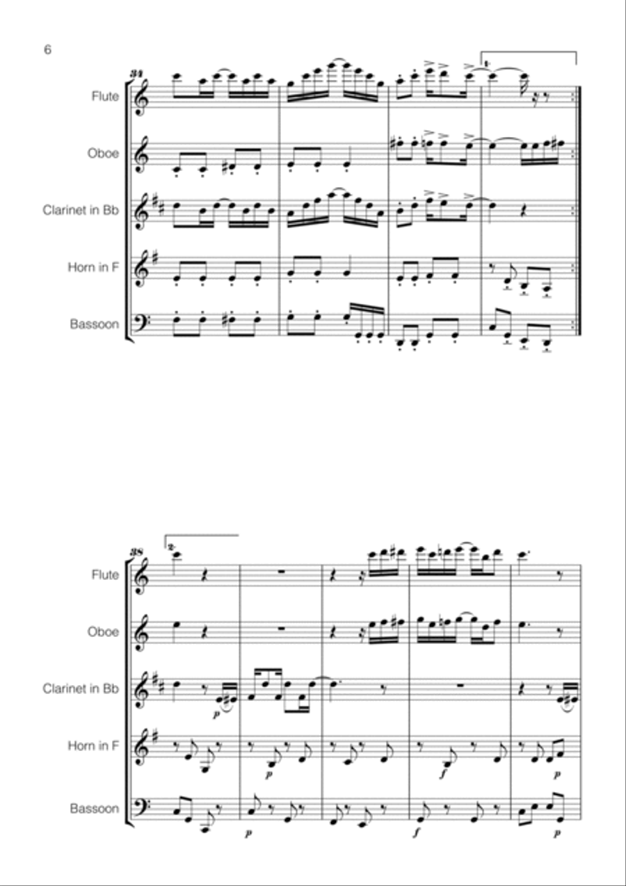 Scott Joplin - The Entertainer for Wind Quintet Woodwind Quintet scores gallery preview page 6