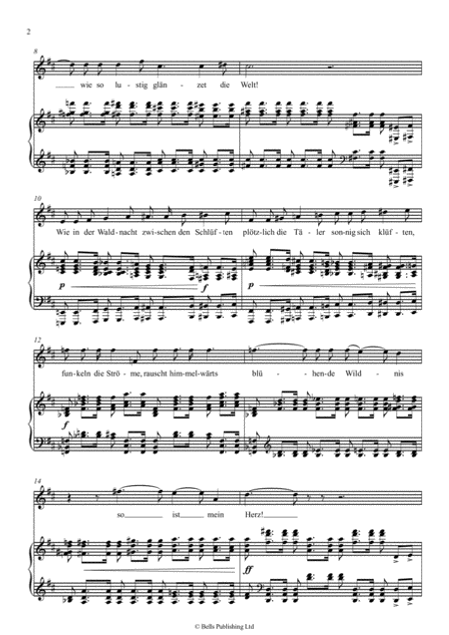 Liebesgluck (D Major) Voice Solo scores gallery preview page 2