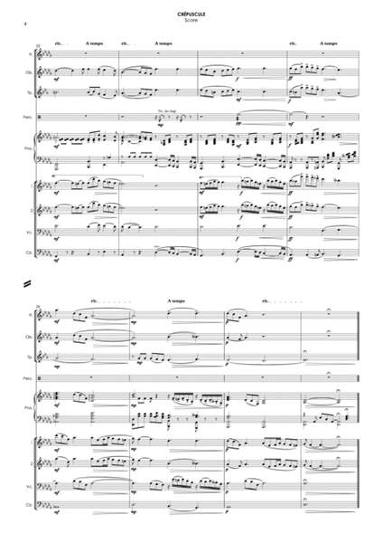 Crépuscule, Poème Symphonique, Op. 39a