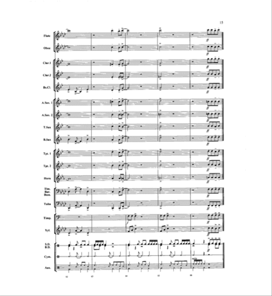 La Brava! Concert Band scores gallery preview page 14