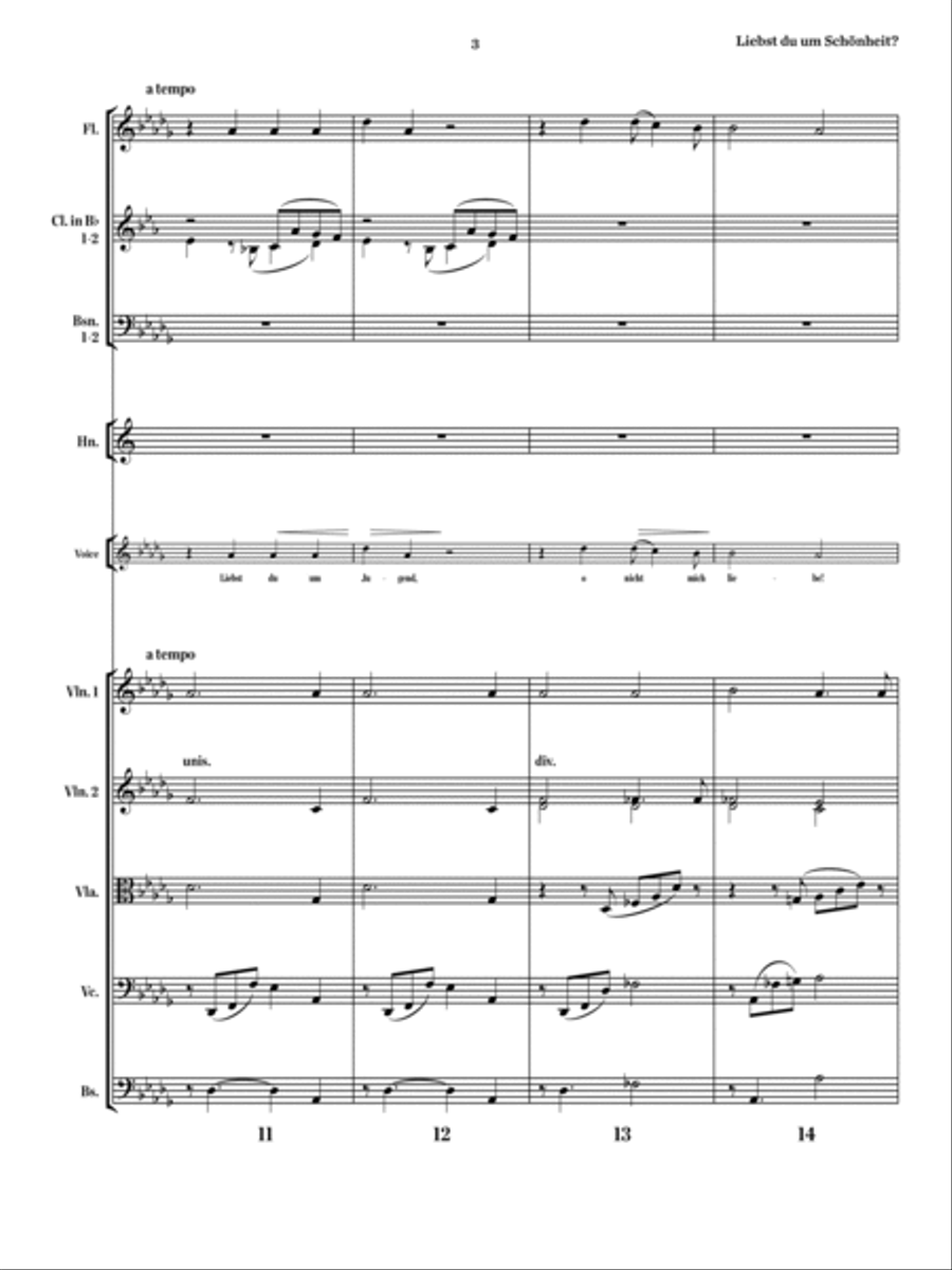 Liebst du um Schönheit? Chamber Orchestra scores gallery preview page 4