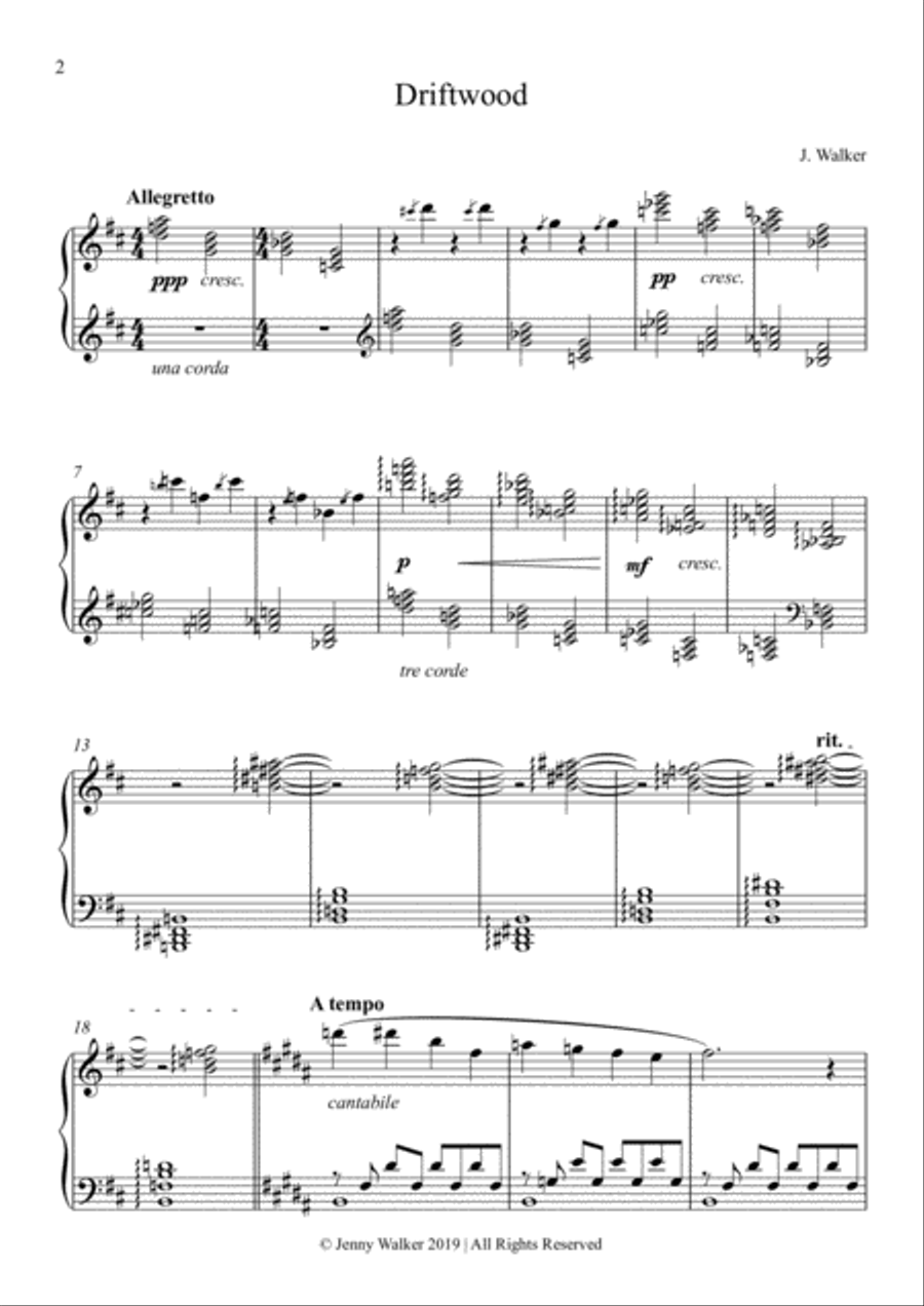 Piano Borealis: 2 - Driftwood Piano Solo scores gallery preview page 2