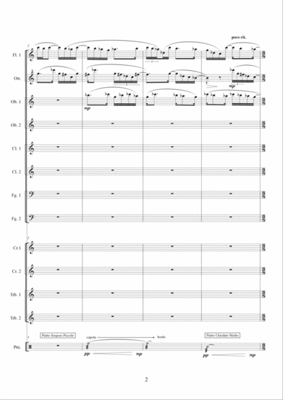 Alessandra Ravera: ARACNE (ES-22-046) - Score Only Woodwind Ensemble scores gallery preview page 6