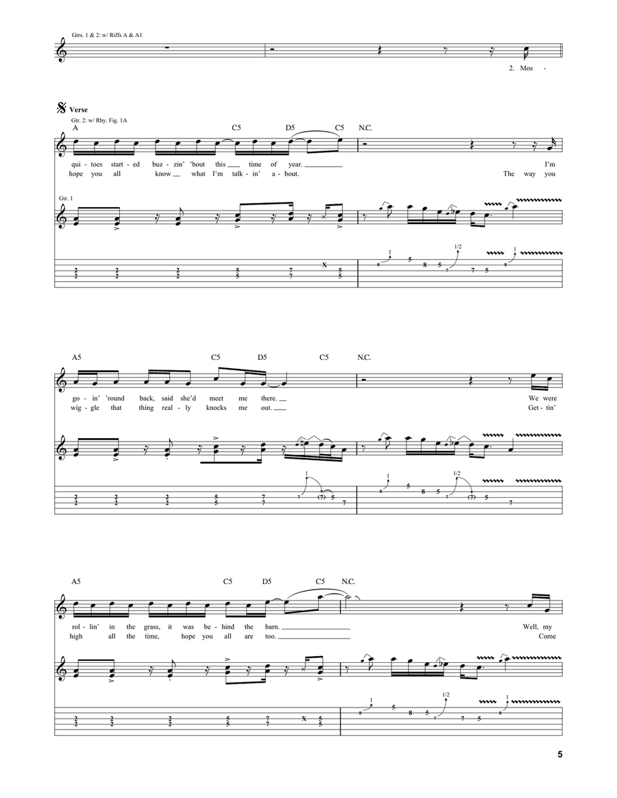 Rock And Roll Hoochie Koo Acoustic Guitar scores gallery preview page 5