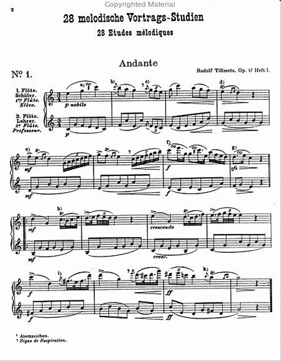 28 Melodic Etudes, In Duet Form, Using All the Keys. Op.47 Flute Duet scores gallery preview page 2
