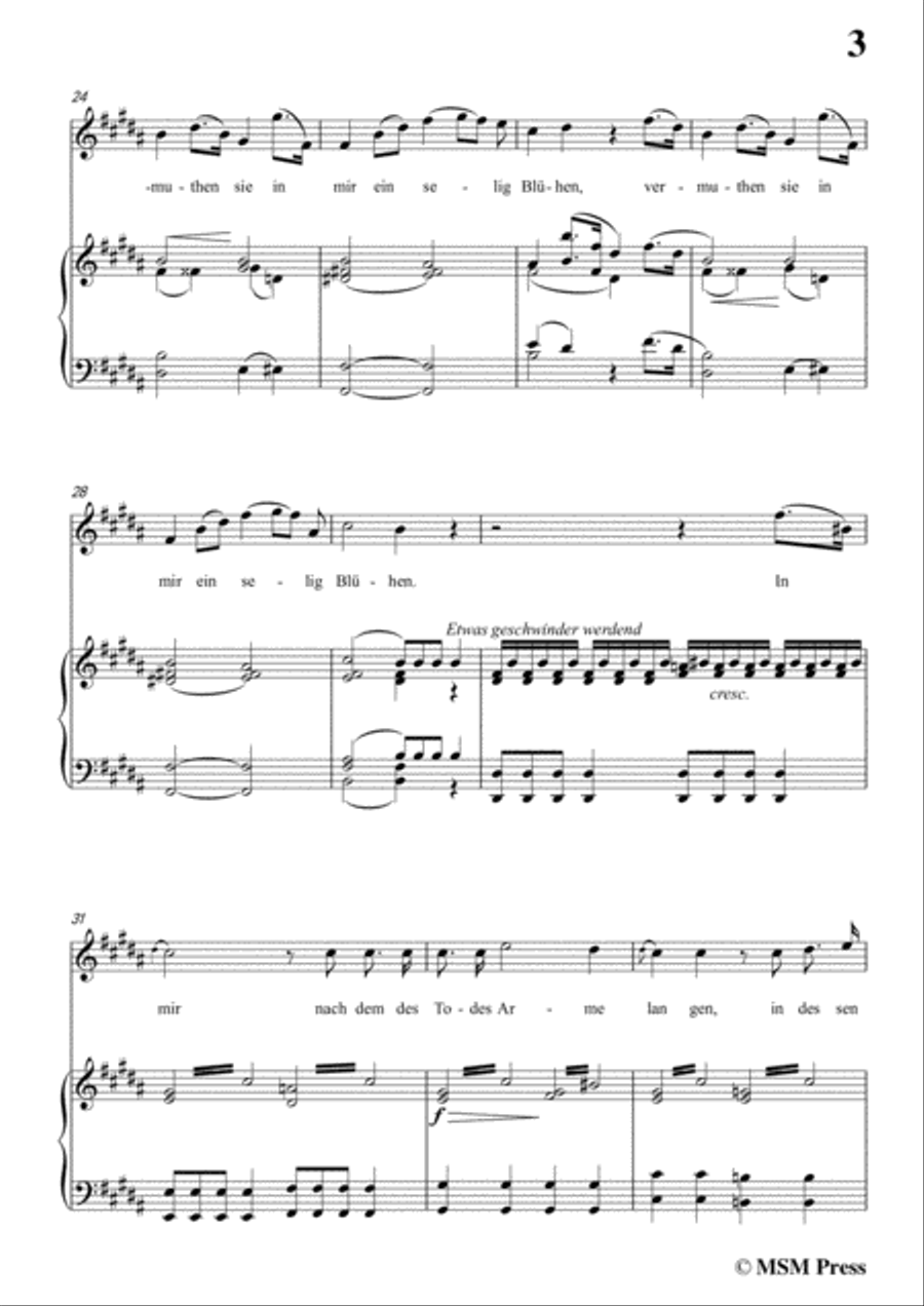 Schubert-Memnon,in G Major,Op.6,for Voice and Piano Voice Solo scores gallery preview page 5