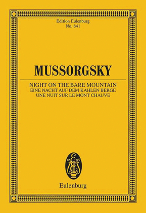 Book cover for Night on the Bare Mountain