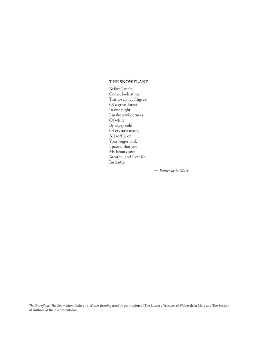 The Snowflake from Winter Windows