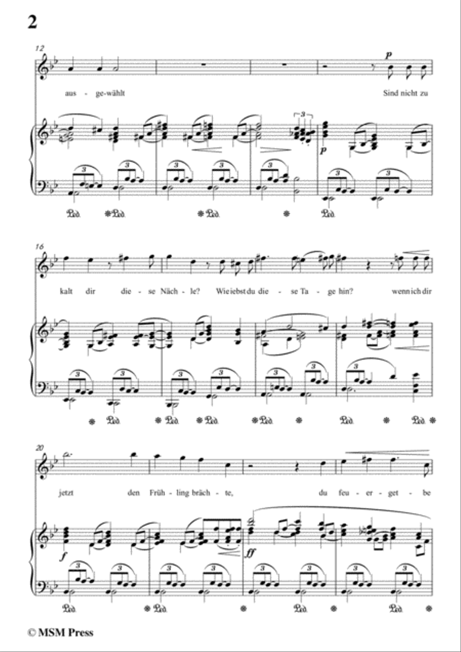 Richard Strauss-Die Georgine in g minor,for Voice and Piano Voice Solo scores gallery preview page 4