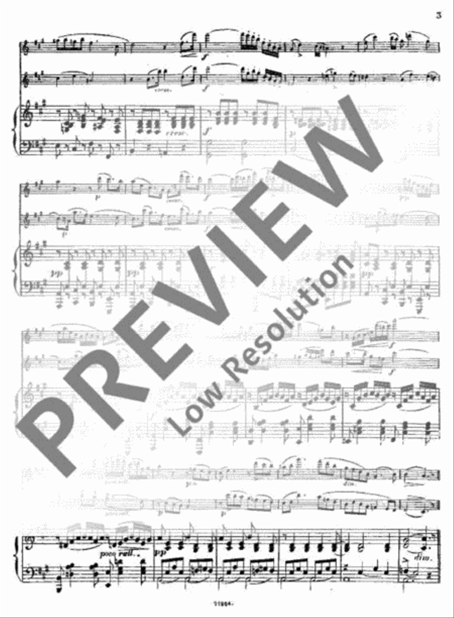 Andante et Rondo Flute Duet scores gallery preview page 4