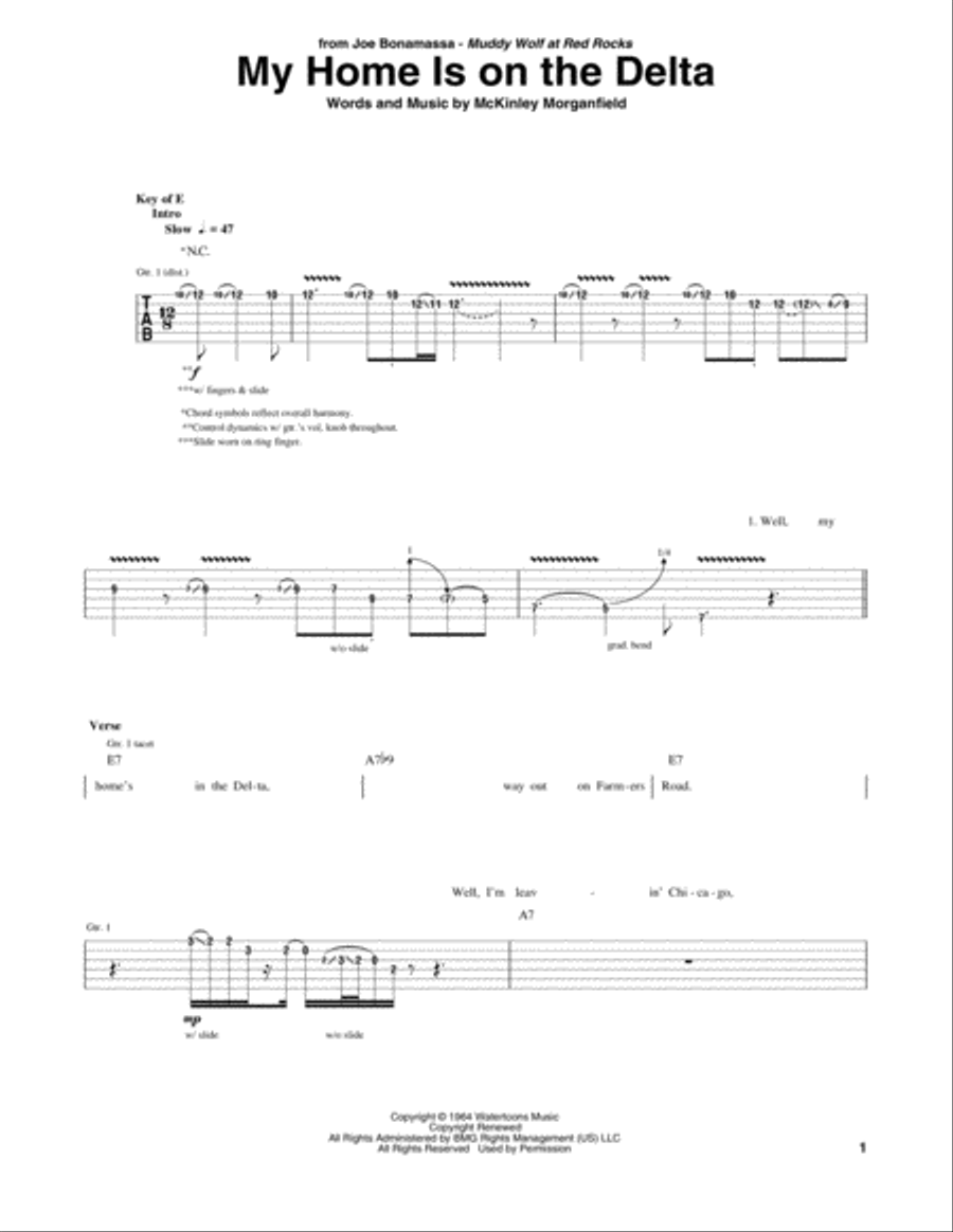 My Home Is On The Delta Electric Guitar scores gallery preview page 1