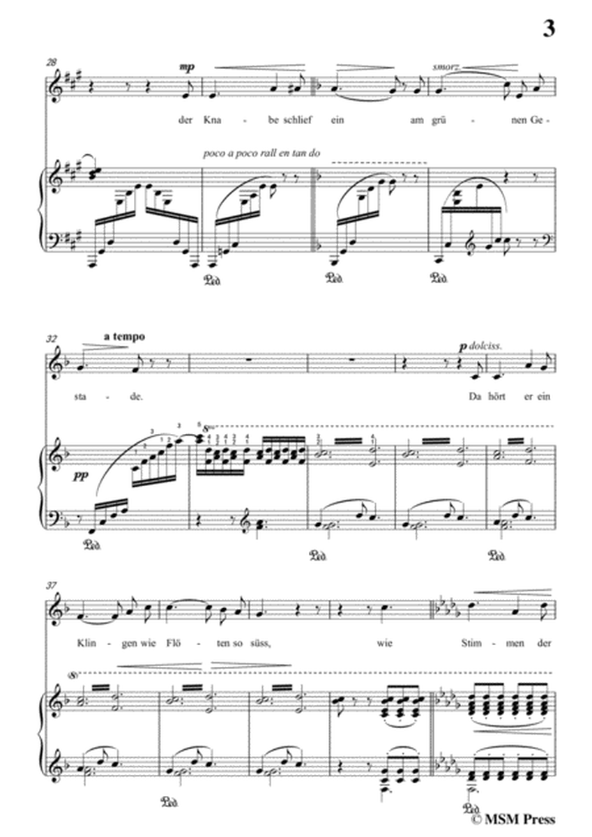 Liszt-Der fischerknabe in A Major,for Voice and Piano image number null