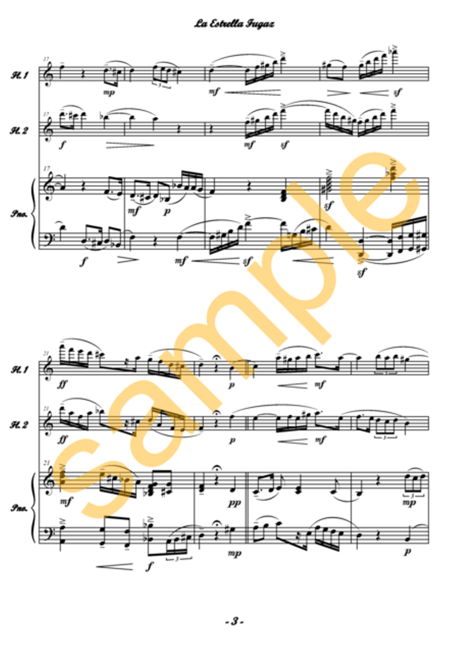 La Estrella Fugaz / Shooting Star for 2 flutes Flute Duet scores gallery preview page 4