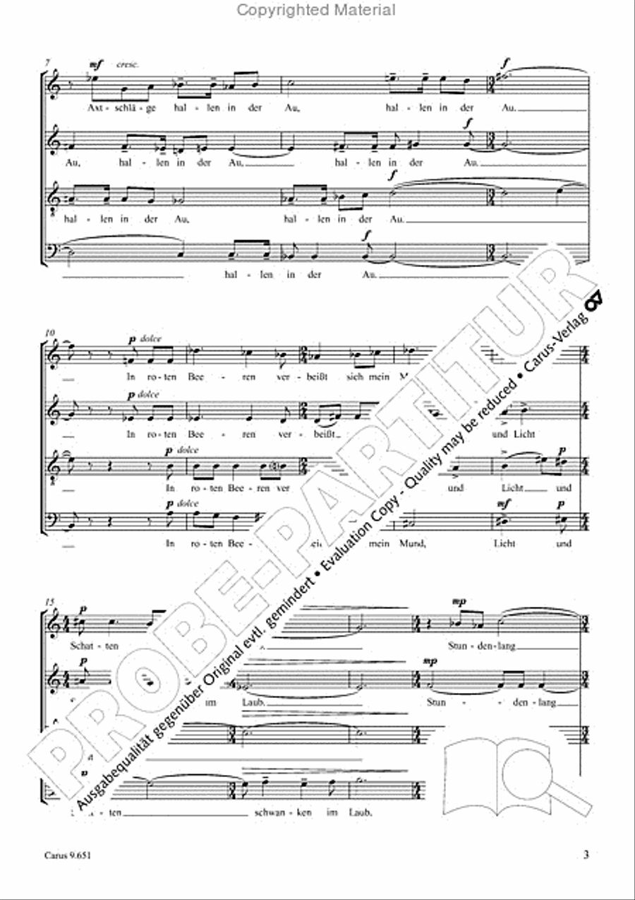 Sonniger Nachmittag Sonniger Nachmittag 4-Part scores gallery preview page 4