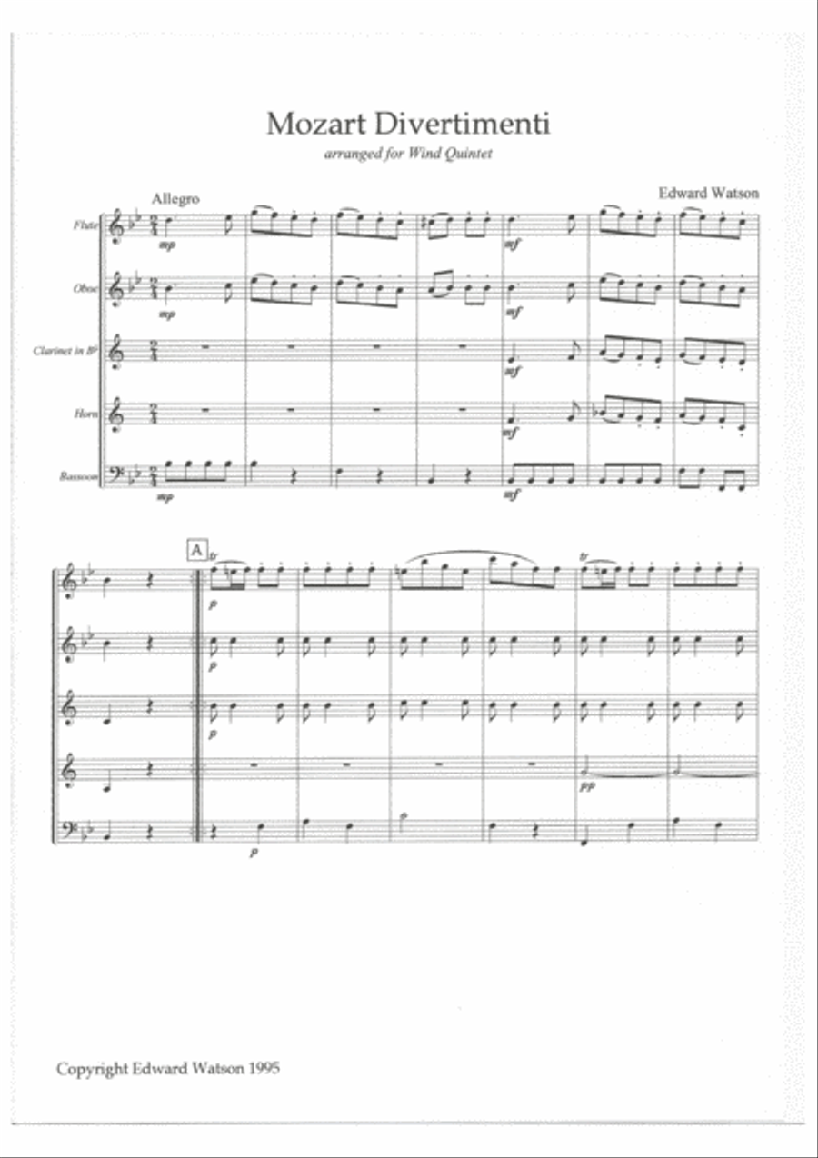Mozart - Divertimenti Woodwind Quintet scores gallery preview page 2