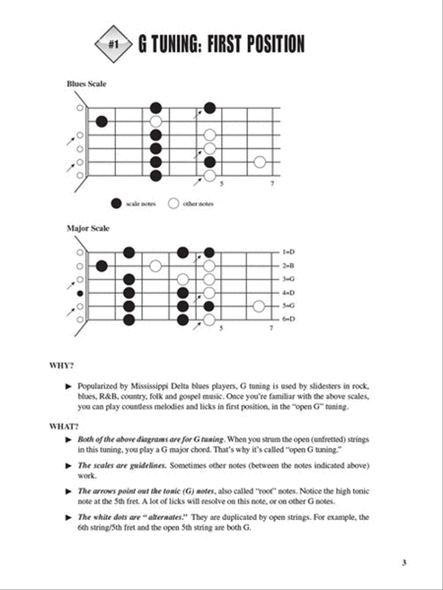 Fretboard Roadmaps – Slide Guitar Electric Guitar scores gallery preview page 3