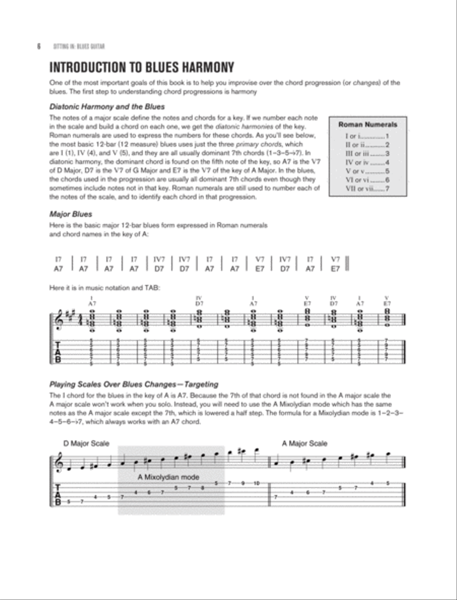 Sitting In -- Blues Guitar Electric Guitar scores gallery preview page 9